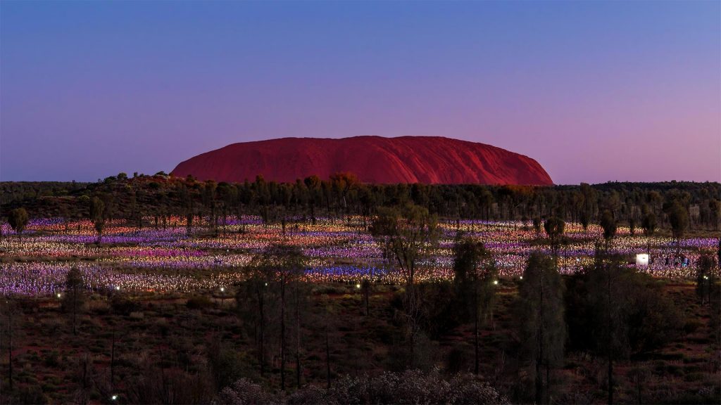 Bruce Munro Uluru