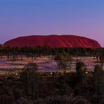 Bruce Munro Uluru