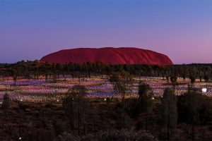 Bruce Munro Uluru