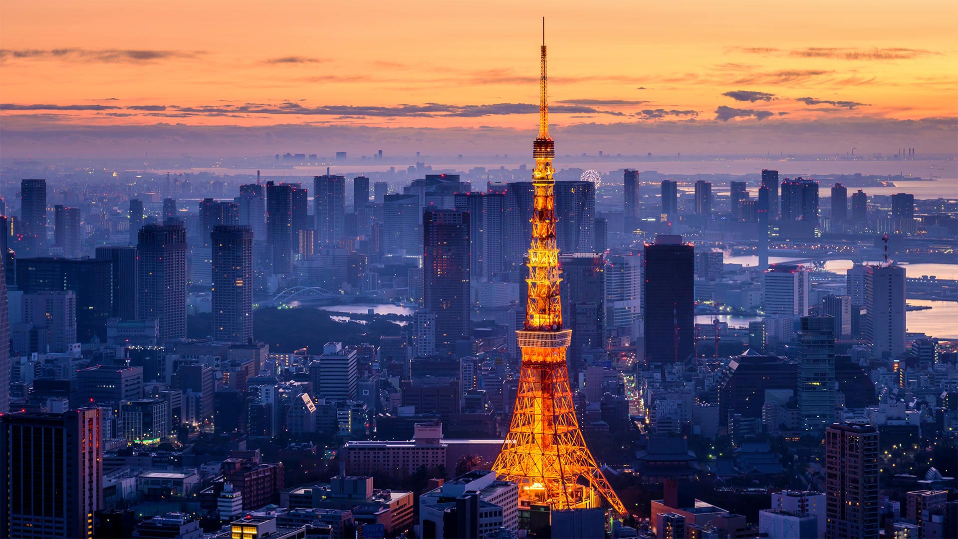 Tokyo Metropolis