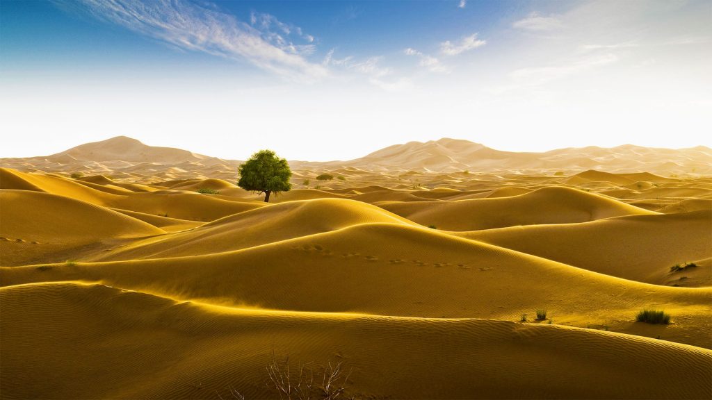 Empty Quarter – Bing Wallpaper Download