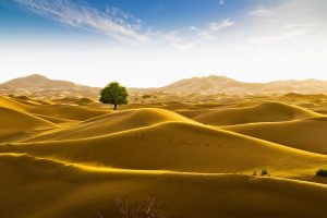 Empty Quarter