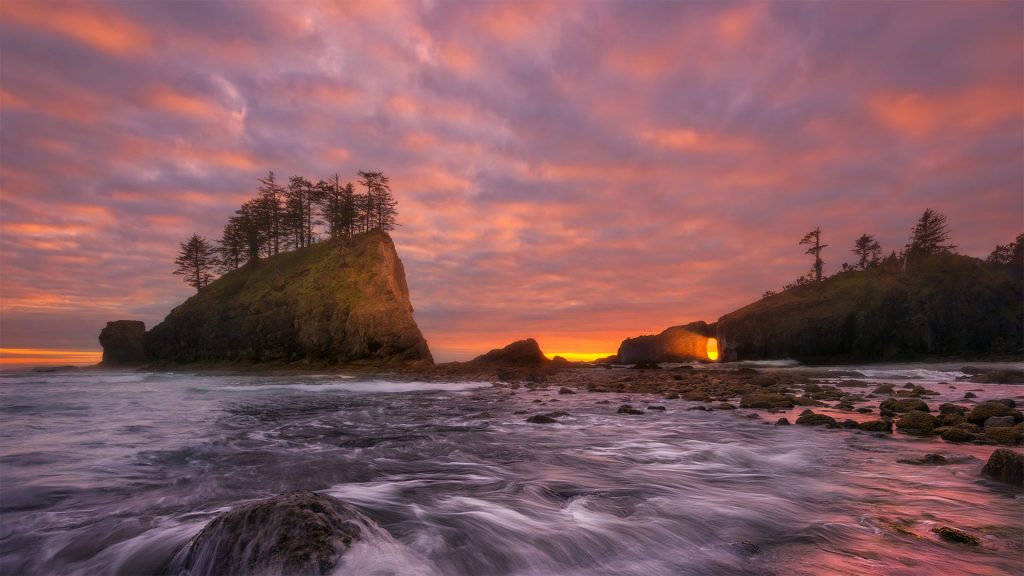 Olympic Coast