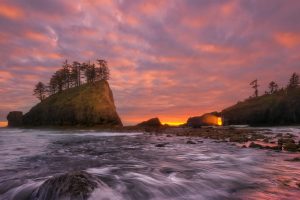 Olympic Coast