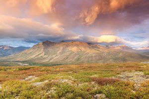 Tombstone Yukon