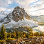 Fall Assiniboine