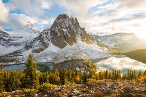 Fall Assiniboine