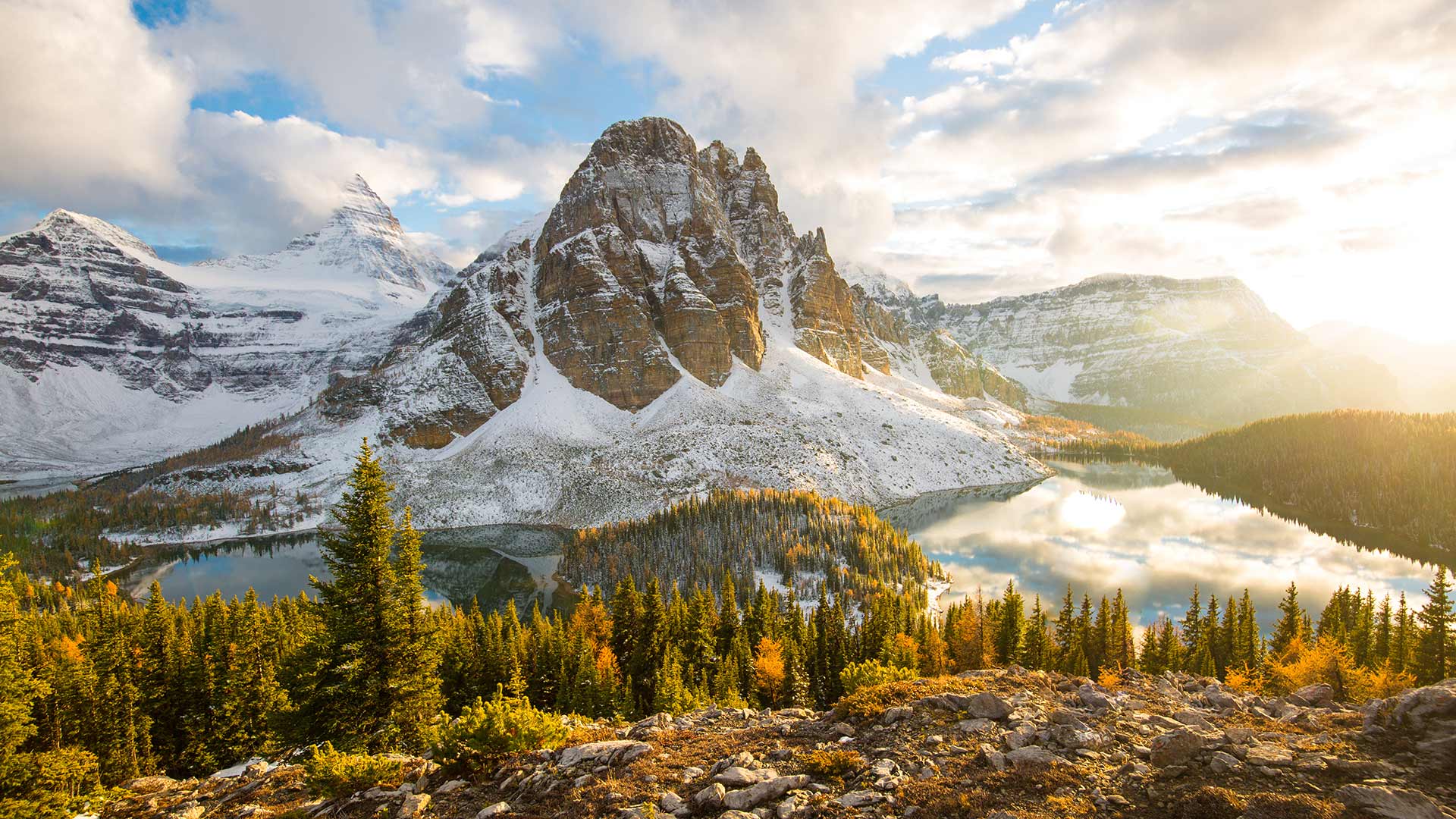 Fall Assiniboine