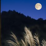 Moon Kyoto