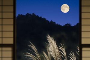 Moon Kyoto