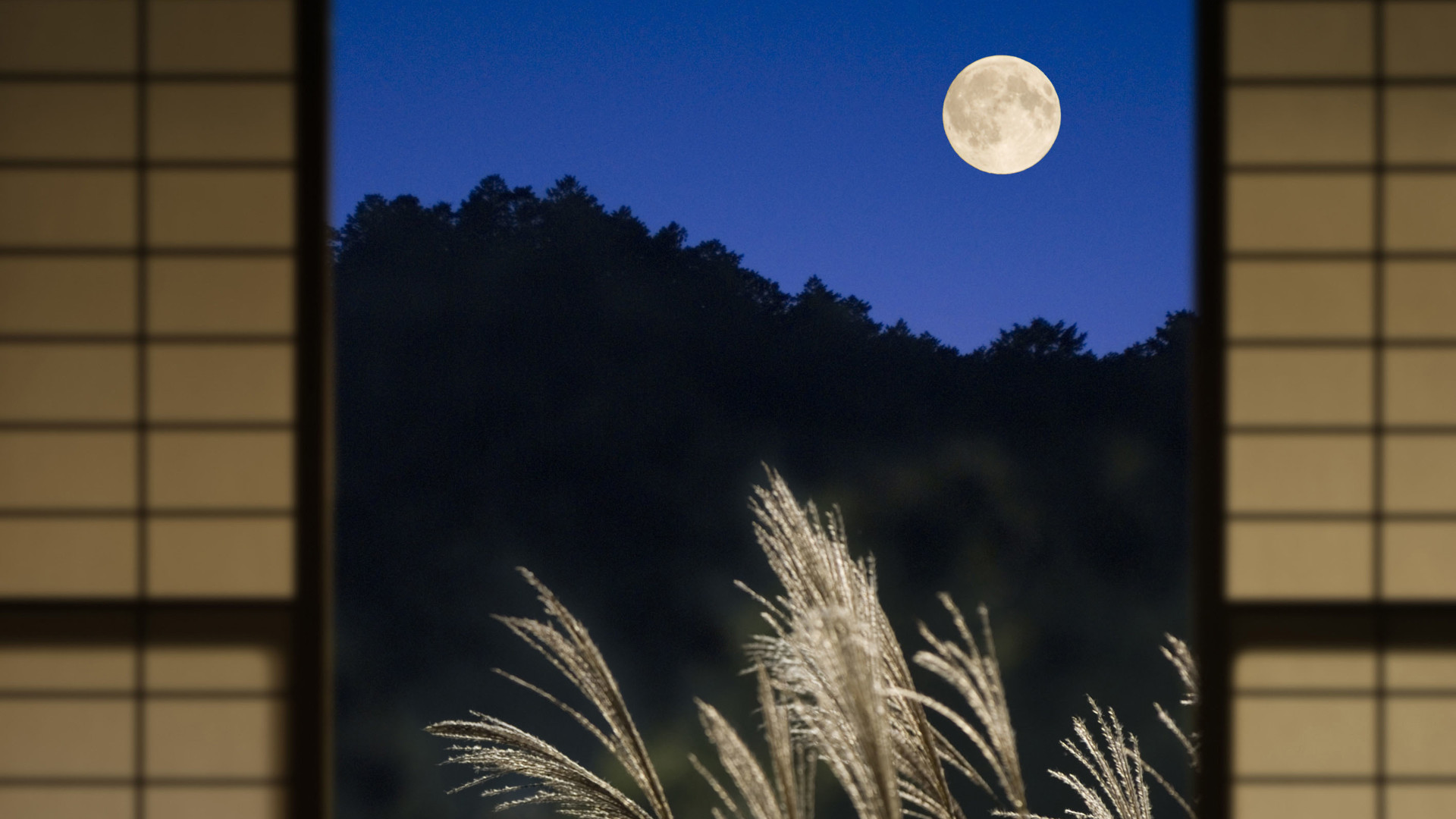 Moon Kyoto