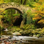 Foleys Bridge