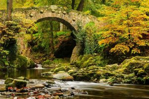 Foleys Bridge