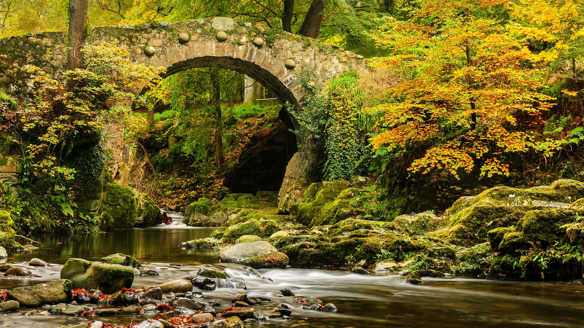 Foleys Bridge