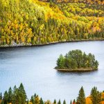 Mauricie Autumn