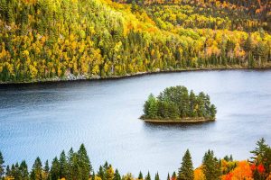 Mauricie Autumn