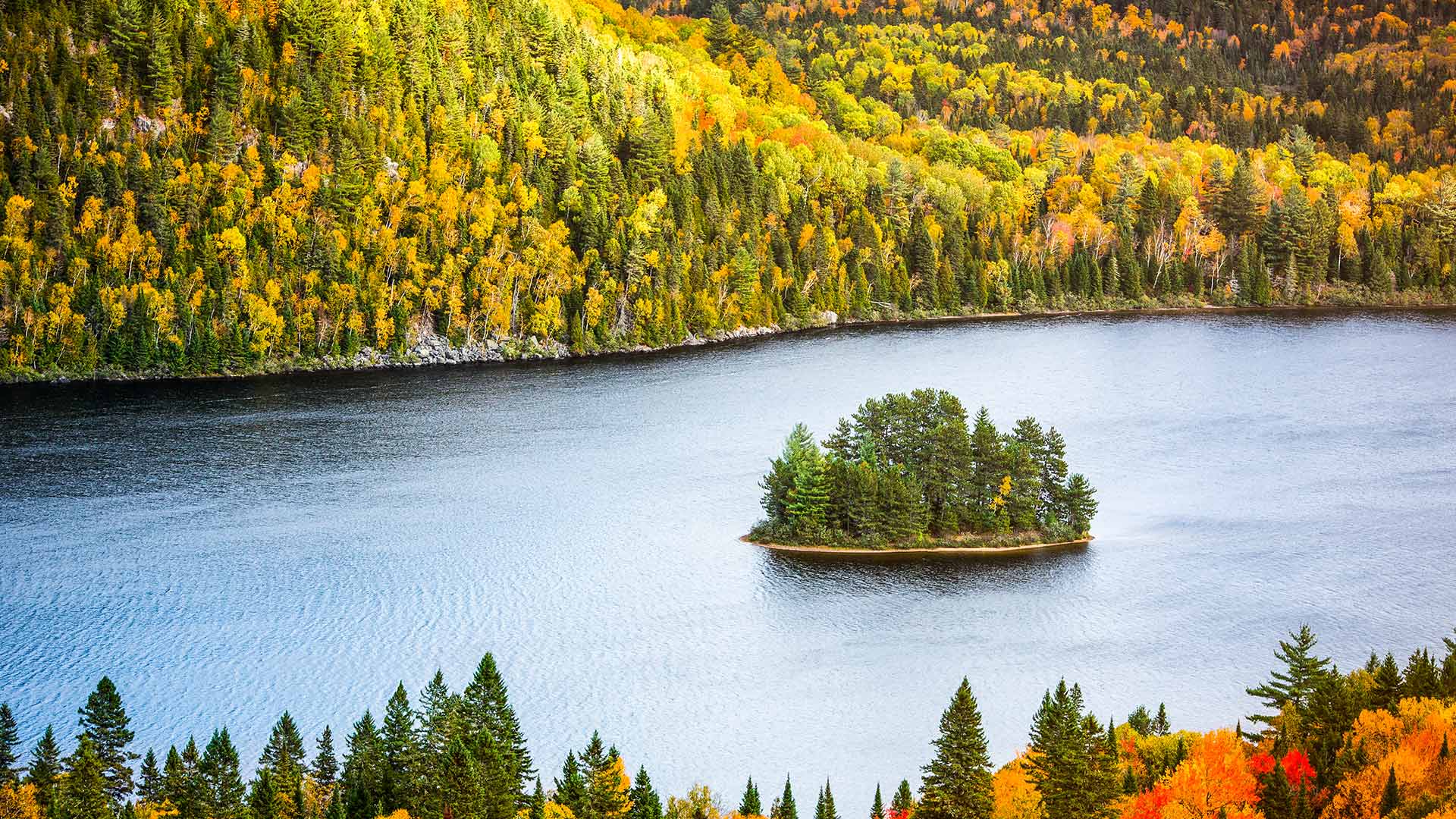 Mauricie Autumn