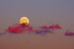 Moon Cloud