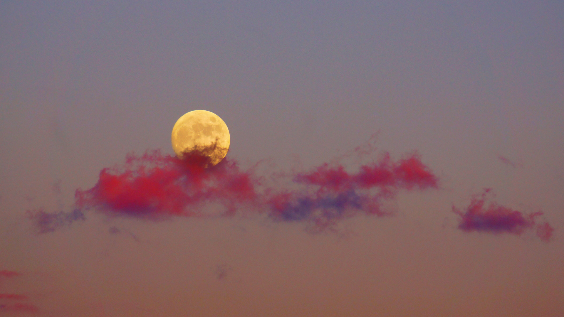 Moon Cloud