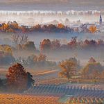 Prosecco Hills