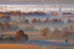 Prosecco Hills