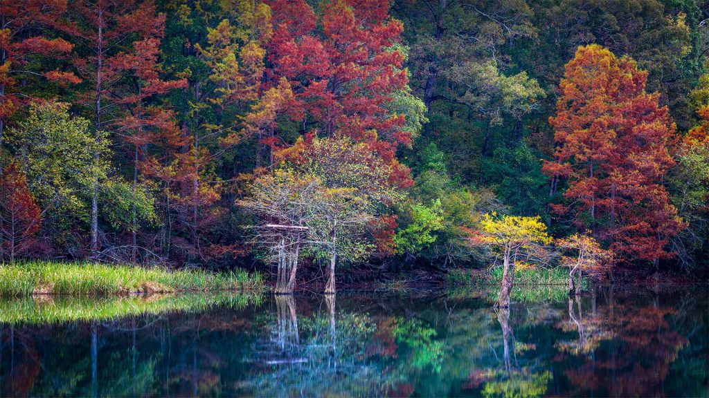 Beavers Bend