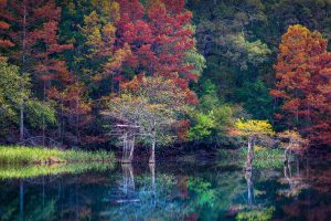 Beavers Bend