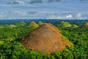 Choco Hill Bohol