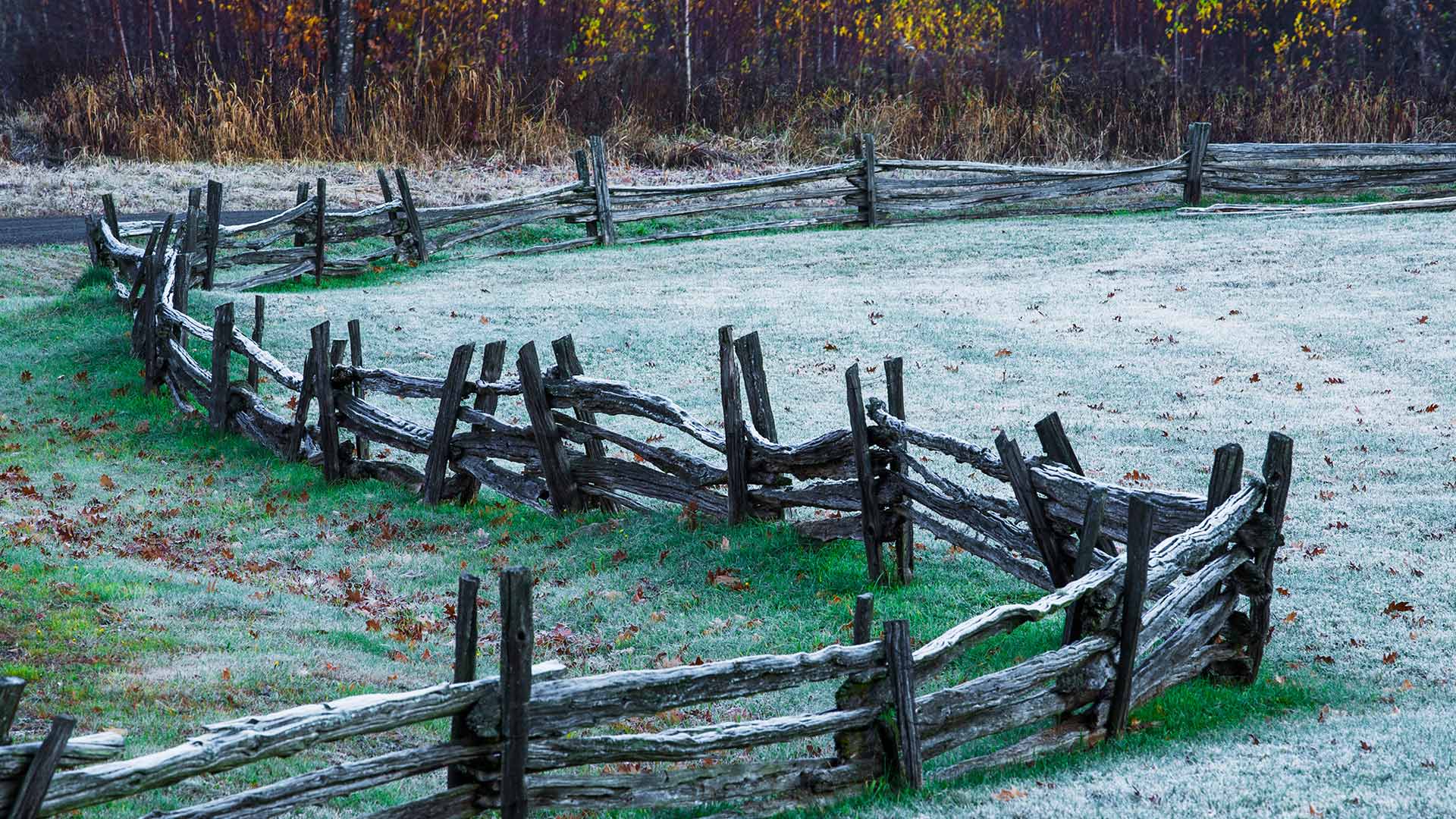 Quebec Frost