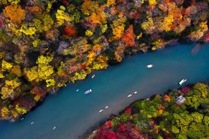 Arashiyama River