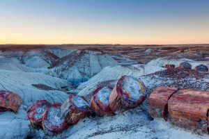 Petrified Forest National Park