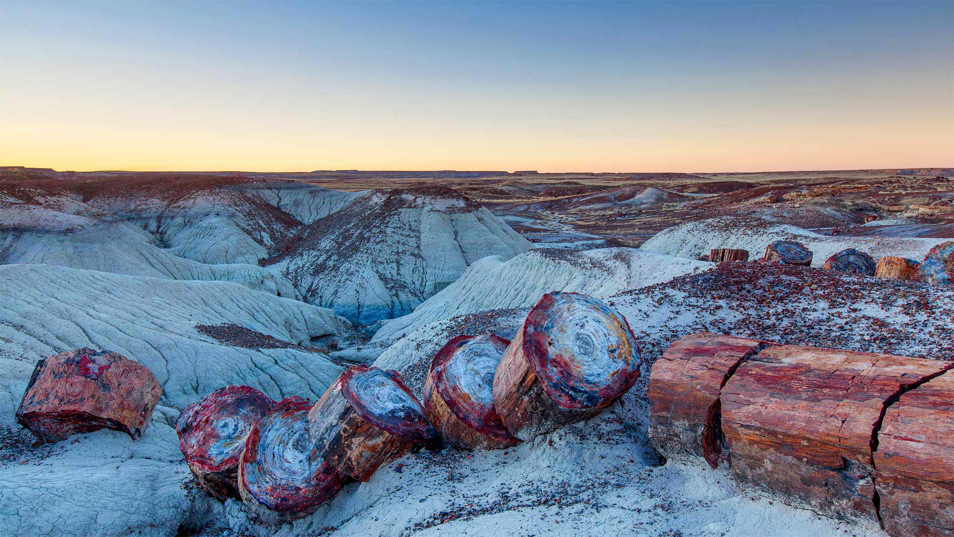 Petrified Forest National Park