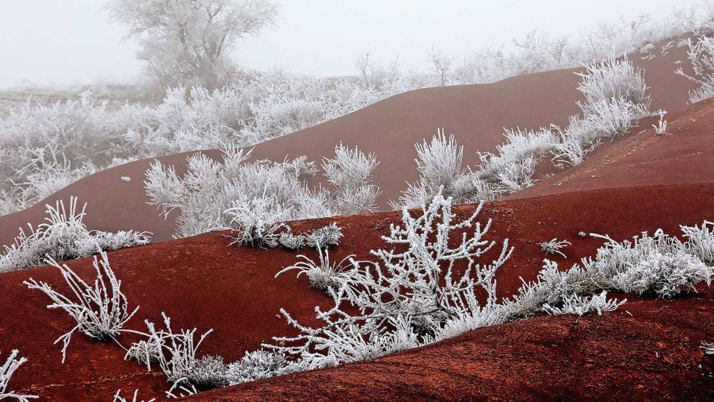 Red Winter