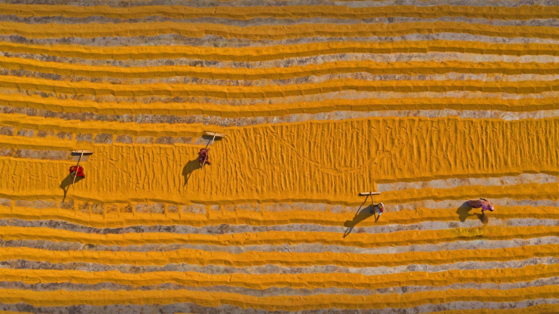 Rice Bangladesh