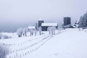 Winter Aubrac