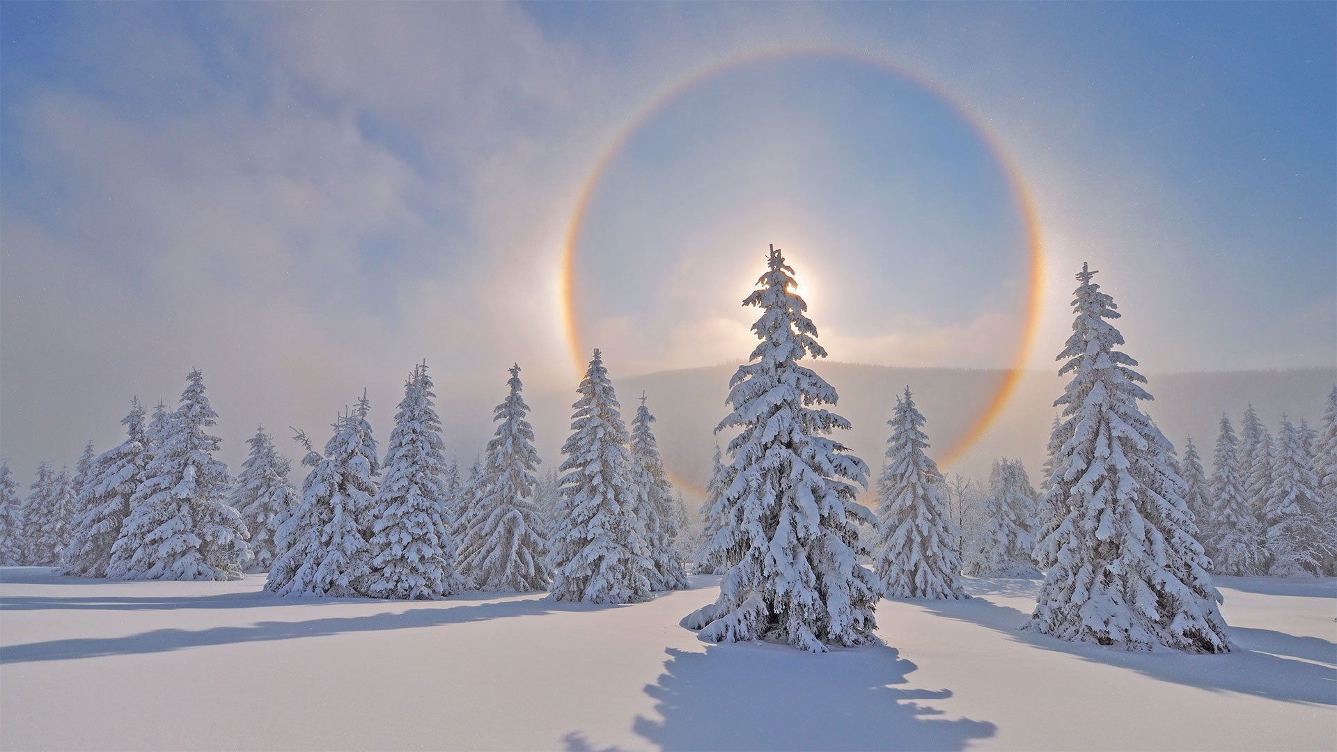 Winter Halo