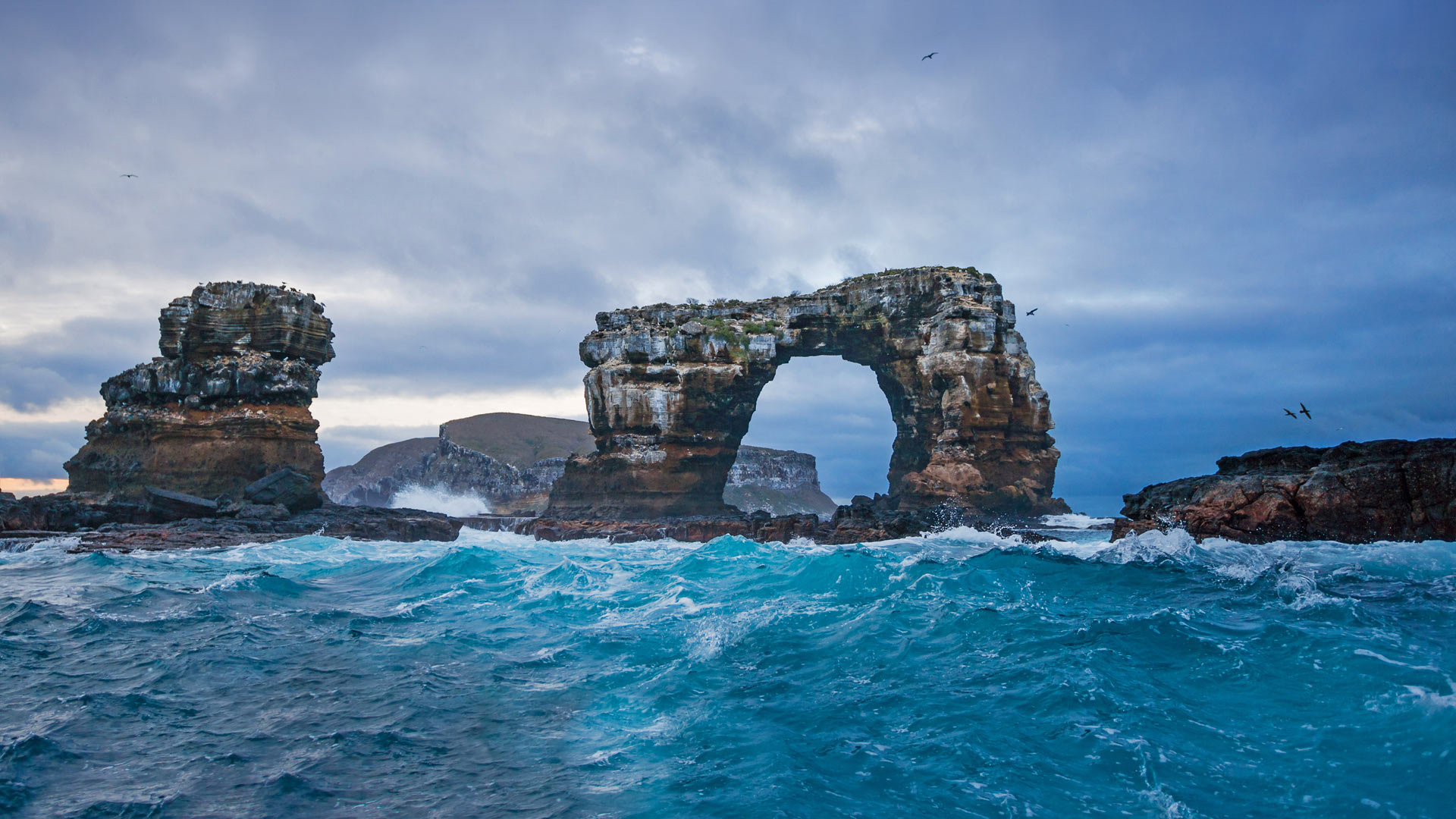 Darwins Arch