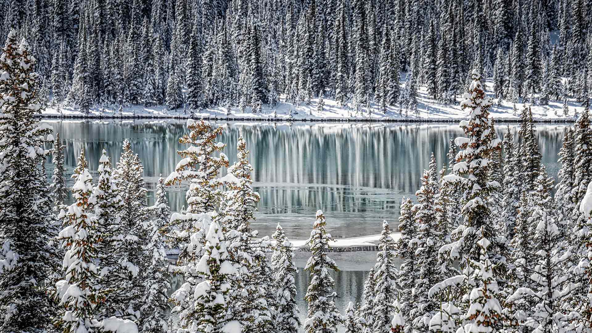 Frozen Lake Banff