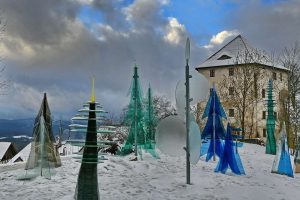 Glass Forest