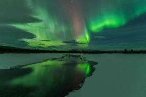 Whitehorse Aurora