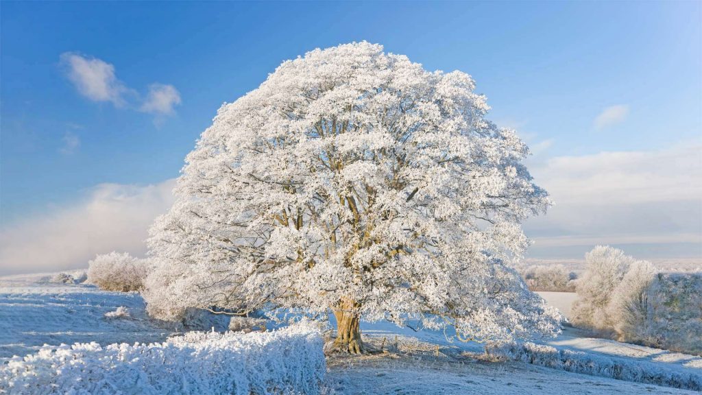 Winter Cotswolds