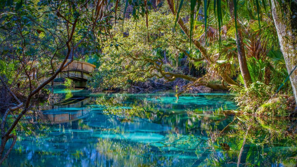 Ocala NF Bing Wallpaper Download