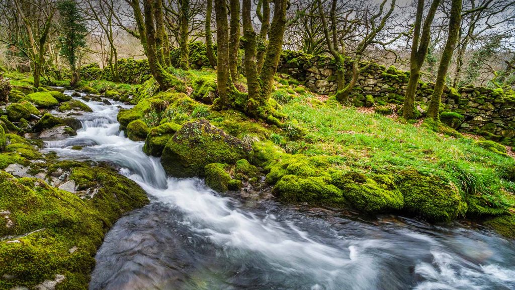 Babbling Brook