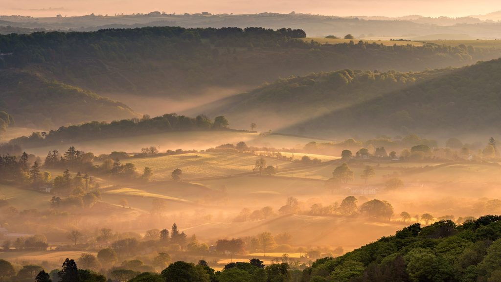 Dartmoor Mist