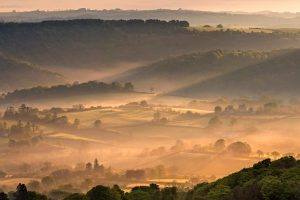 Dartmoor Mist