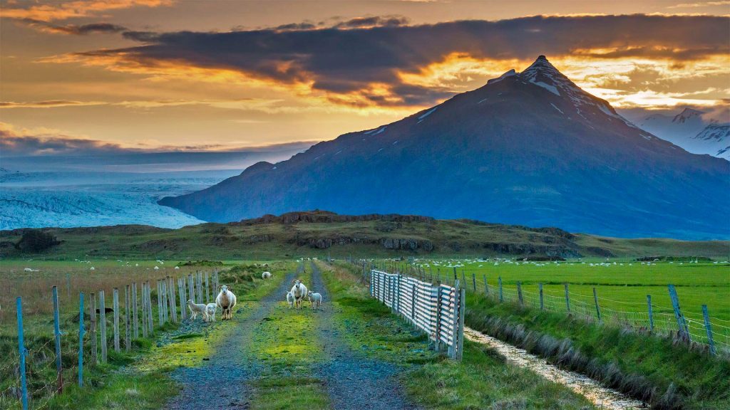 Icelandic Summer