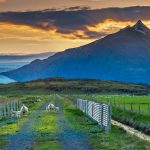 Icelandic Summer