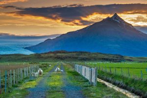 Icelandic Summer