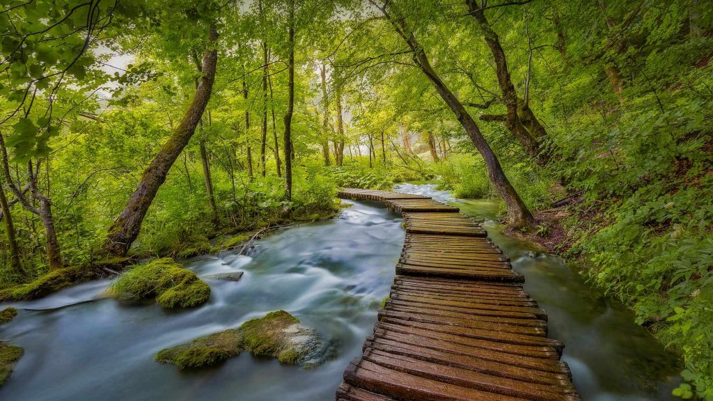 Plitvice Boardwalk