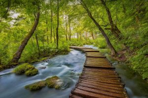 Plitvice Boardwalk